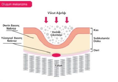 Evde bakım ve yaşlı bakımı hizmetleri, aileden biri ile güvenle.